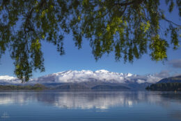 New Zealand 2025 (2 group) (9/84)